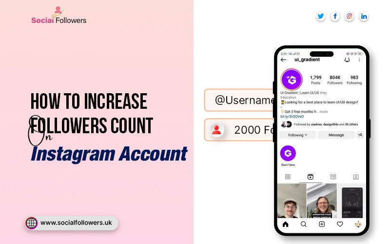 Instagram Followers Count - Check Real Time Instagram Follower Count